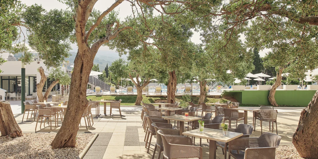 Bars d'hôtel