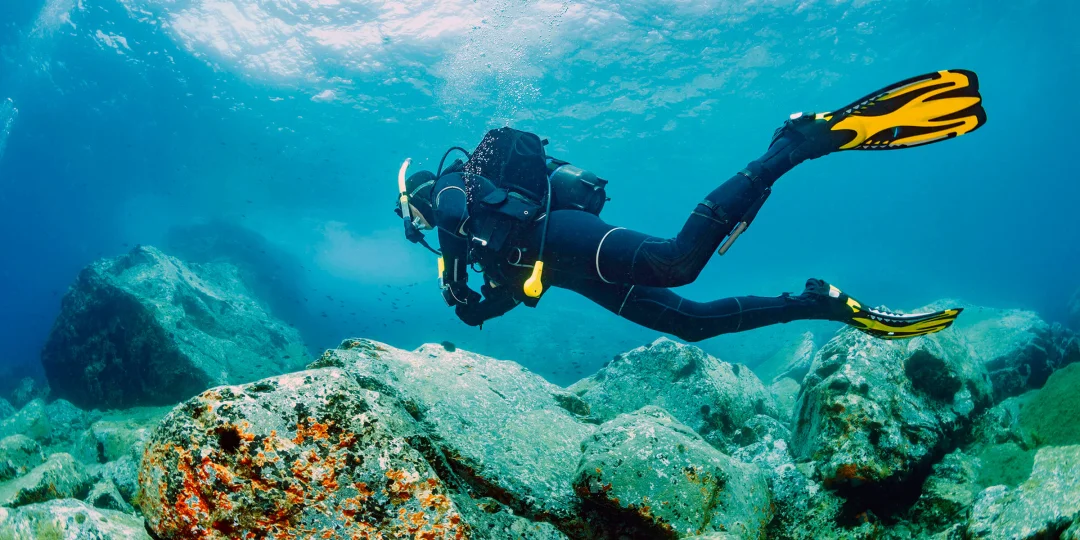 Scuba diving and snorkeling