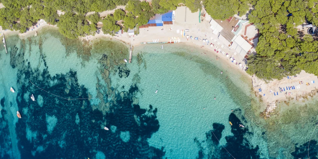 3. Borak, Bol