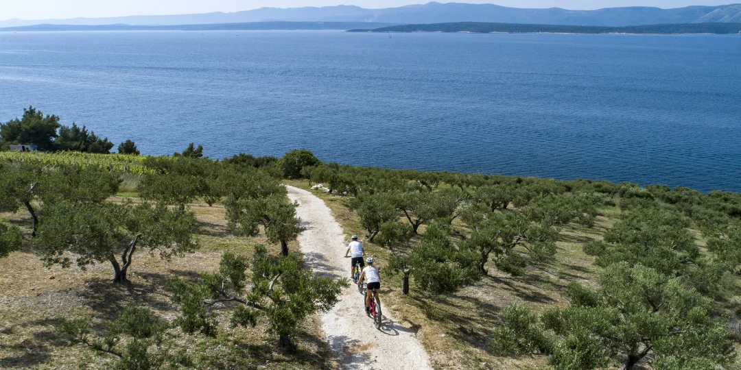 Aktivnosti, sport i rekreacija