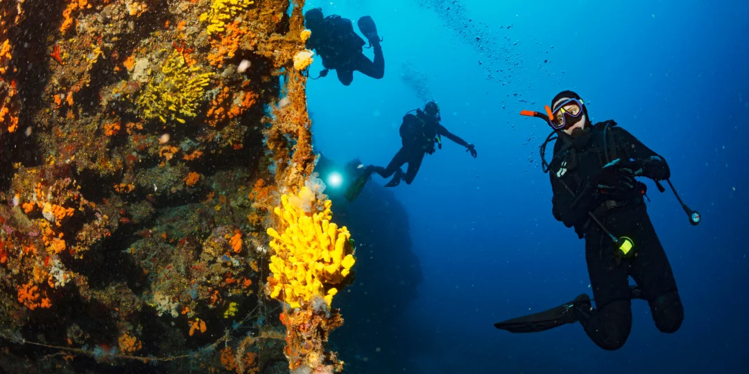 Boat Dives and Licensed Divers