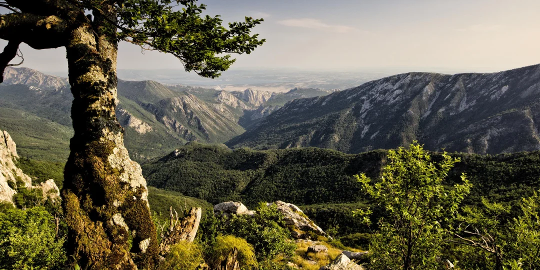 Starigrad-Paklenica
